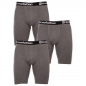 3PACK Boxershorts til mænd Horsefeathers Dynasty long (AM195B)