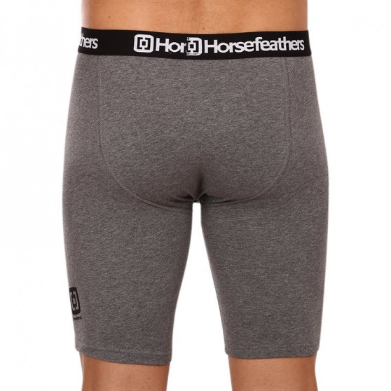 3PACK Boxershorts til mænd Horsefeathers Dynasty long (AM195B)