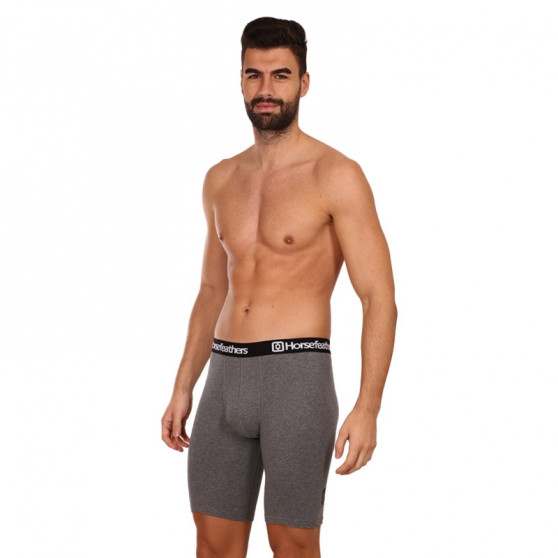 3PACK Boxershorts til mænd Horsefeathers Dynasty long (AM195B)