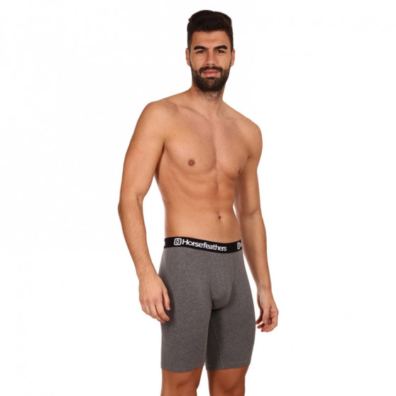 3PACK Boxershorts til mænd Horsefeathers Dynasty long (AM195B)