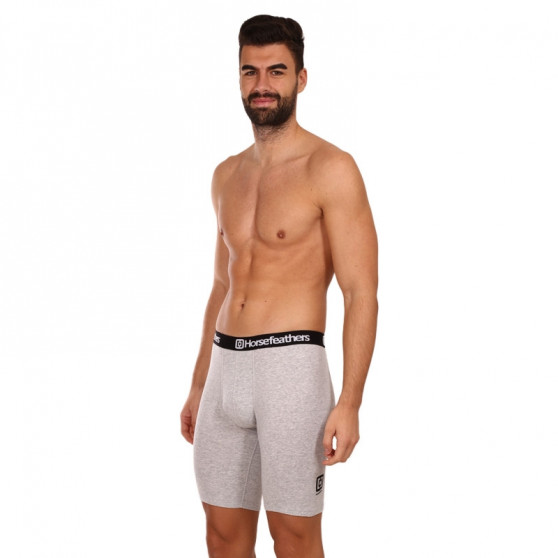 3PACK Boxershorts til mænd Horsefeathers Dynasty long (AM195C)