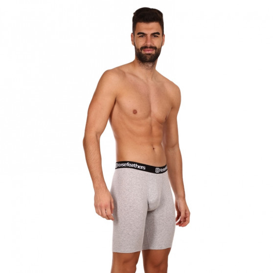 3PACK Boxershorts til mænd Horsefeathers Dynasty long (AM195C)