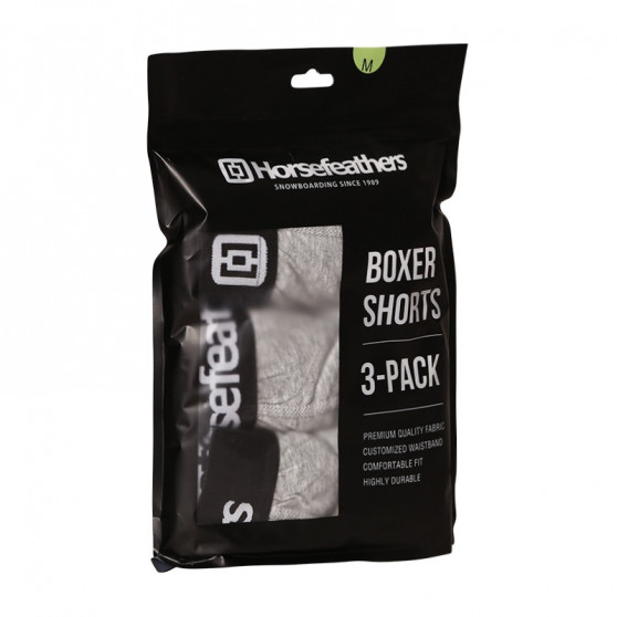 3PACK Boxershorts til mænd Horsefeathers Dynasty long (AM195C)