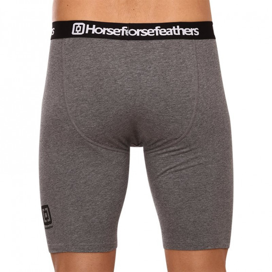 3PACK Boxershorts til mænd Horsefeathers Dynasty long (AM195D)