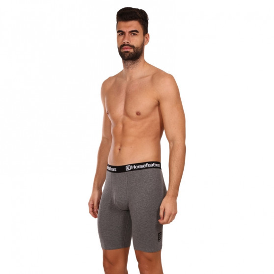 3PACK Boxershorts til mænd Horsefeathers Dynasty long (AM195D)