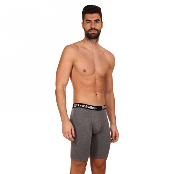 3PACK Boxershorts til mænd Horsefeathers Dynasty long (AM195D)