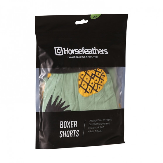 Boxershorts til mænd Horsefeathers Frazier ananas (AM166D)