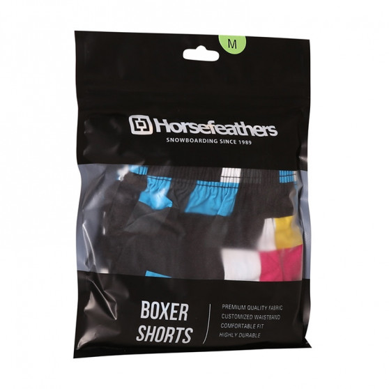 Boxershorts til mænd Horsefeathers Manny Cmyk check (AM167D)