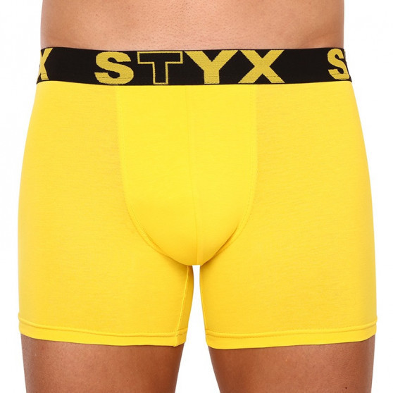 3PACK Boxershorts til mænd Styx lang sportselastik flerfarvet (U9696863)