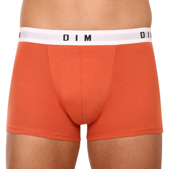 2PACK Boxershorts til mænd DIM flerfarvet (DI000ARL-9UV)