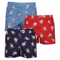 3PACK Boxershorts til mænd Andrie flerfarvet (PS 5683)