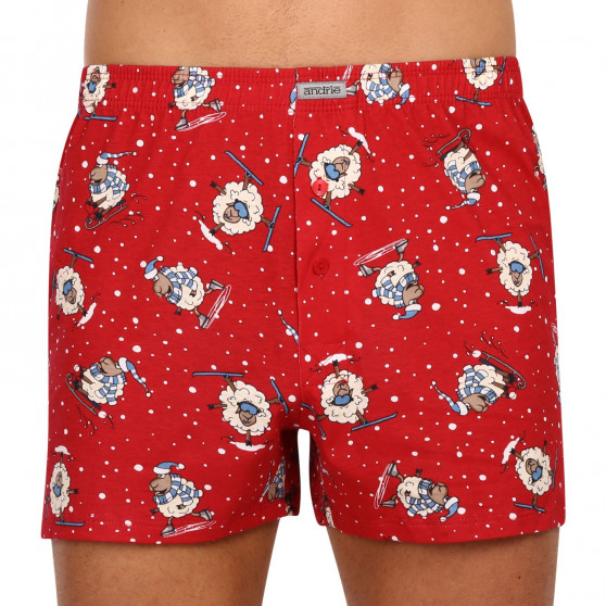 3PACK Boxershorts til mænd Andrie flerfarvet (PS 5683)