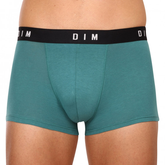 2PACK Boxershorts til mænd DIM flerfarvet (DI000ARL-9UW)