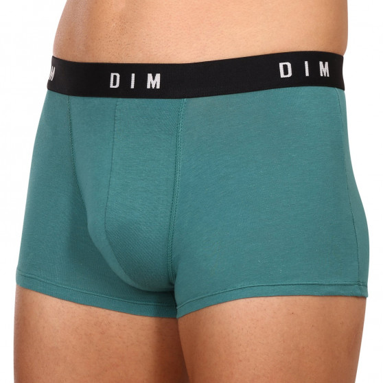 2PACK Boxershorts til mænd DIM flerfarvet (DI000ARL-9UW)