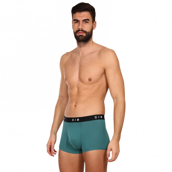 2PACK Boxershorts til mænd DIM flerfarvet (DI000ARL-9UW)