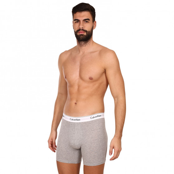 3PACK Boxershorts til mænd Calvin Klein flerfarvet (NB2381A-MP1)