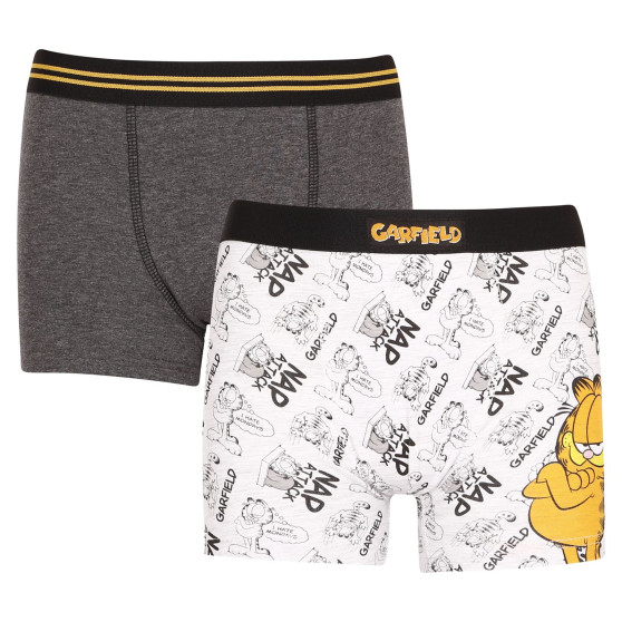 2PACK Boxershorts til drenge E plus M Garfield flerfarvet (52 33 110/080)