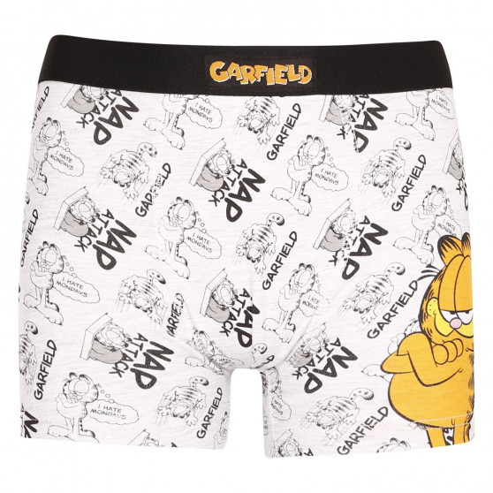 2PACK Boxershorts til drenge E plus M Garfield flerfarvet (52 33 110/080)