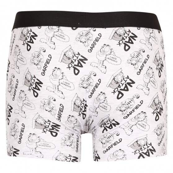 2PACK Boxershorts til drenge E plus M Garfield flerfarvet (52 33 110/080)