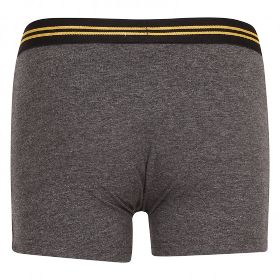 2PACK Boxershorts til drenge E plus M Garfield flerfarvet (52 33 110/080)