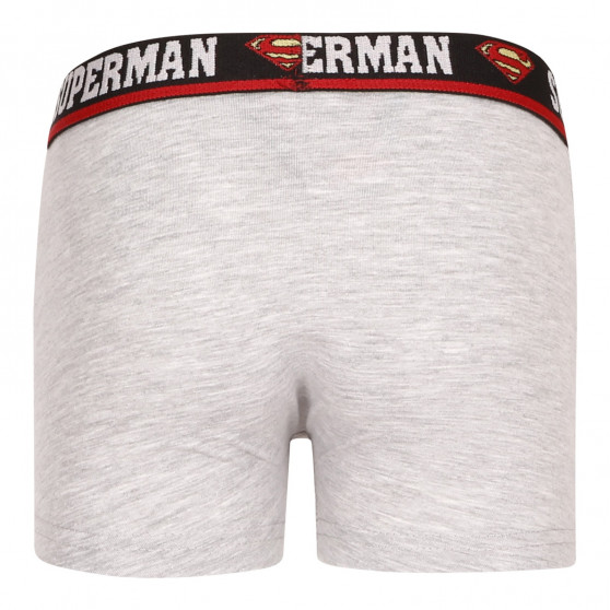 2PACK Boxershorts til drenge E plus M Superman flerfarvet (52 33 239/296)