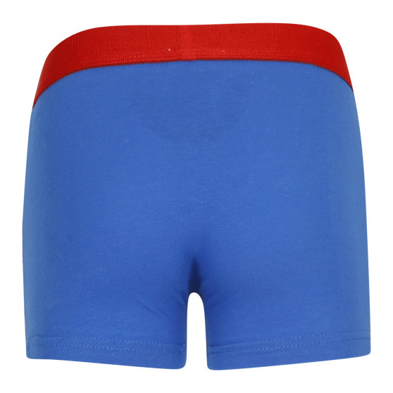 2PACK Boxershorts til drenge E plus M Spiderman flerfarvet (52 33 1353/1356)