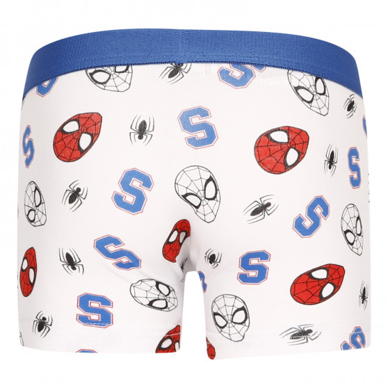 2PACK Boxershorts til drenge E plus M Spiderman flerfarvet (52 33 1353/1356)