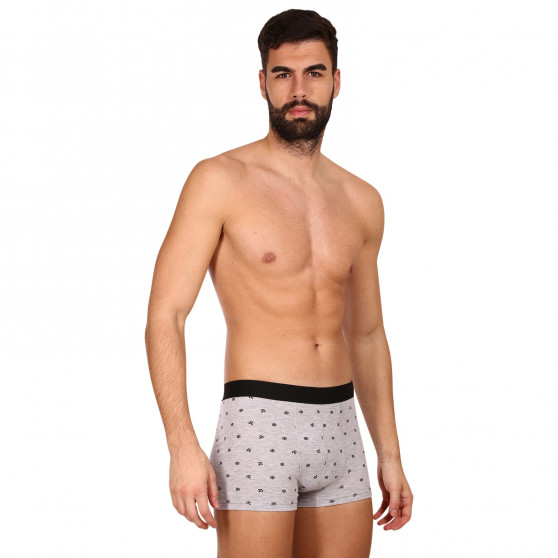 2PACK Boxershorts til mænd Molvy grå (MP-1071-BEU)