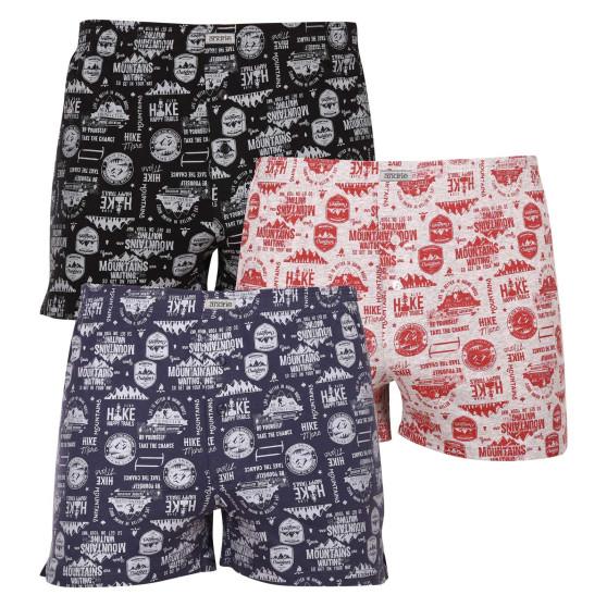 3PACK Boxershorts til mænd Andrie flerfarvet (PS 5676)