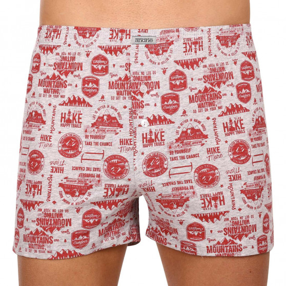 3PACK Boxershorts til mænd Andrie flerfarvet (PS 5676)