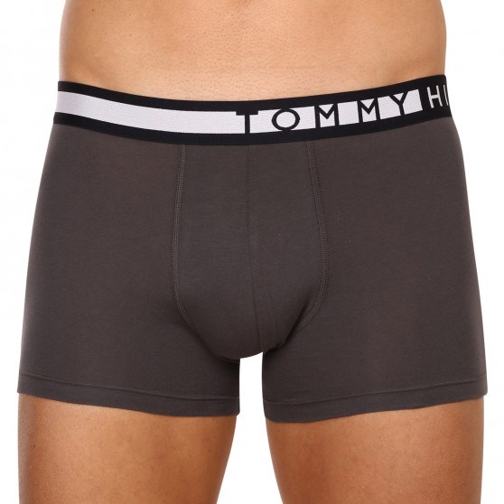 3PACK Boxershorts til mænd Tommy Hilfiger flerfarvet (UM0UM02202 0UM)