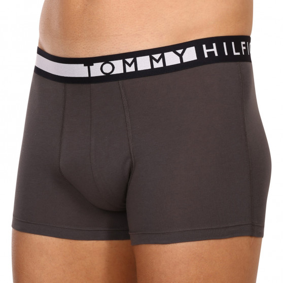 3PACK Boxershorts til mænd Tommy Hilfiger flerfarvet (UM0UM02202 0UM)