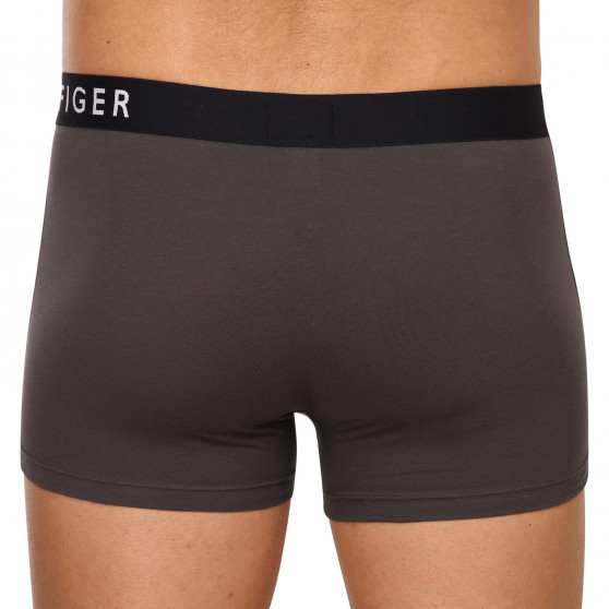 3PACK Boxershorts til mænd Tommy Hilfiger flerfarvet (UM0UM02202 0UM)