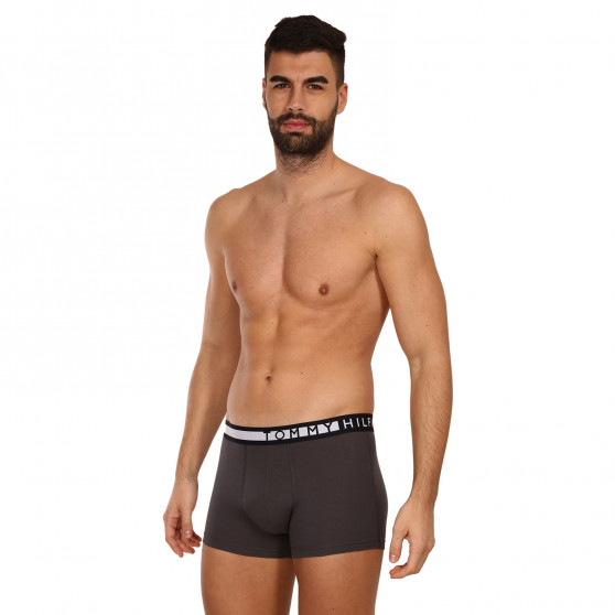 3PACK Boxershorts til mænd Tommy Hilfiger flerfarvet (UM0UM02202 0UM)