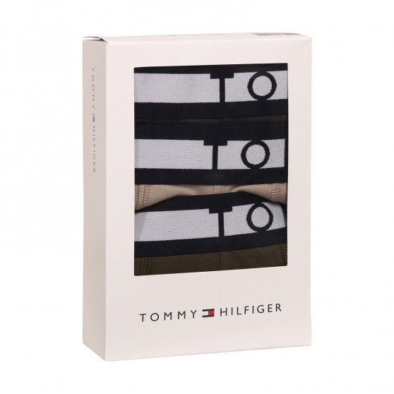 3PACK Boxershorts til mænd Tommy Hilfiger flerfarvet (UM0UM02202 0UM)