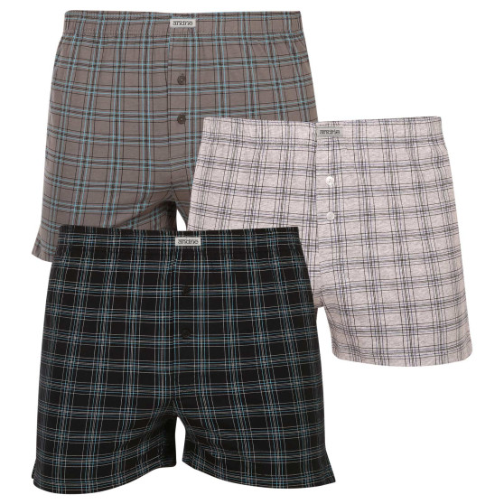 3PACK Boxershorts til mænd Andrie flerfarvet (PS 5658)