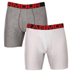 2PACK Boxershorts til mænd Under Armour grå (1363619 011)