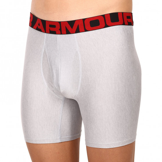 2PACK Boxershorts til mænd Under Armour grå (1363619 011)