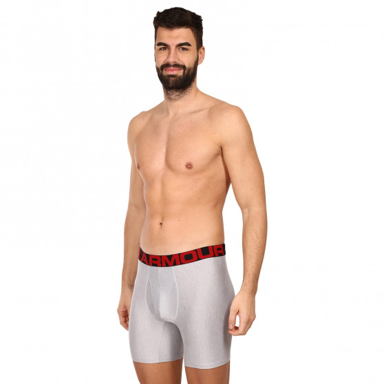 2PACK Boxershorts til mænd Under Armour grå (1363619 011)