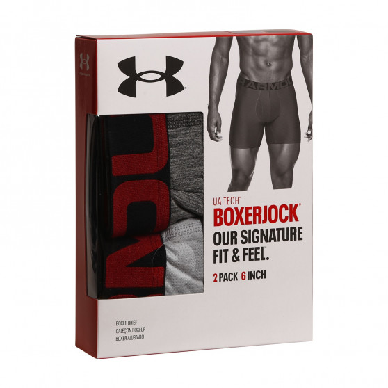 2PACK Boxershorts til mænd Under Armour grå (1363619 011)