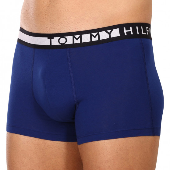 3PACK Boxershorts til mænd Tommy Hilfiger flerfarvet (UM0UM02202 0TW)