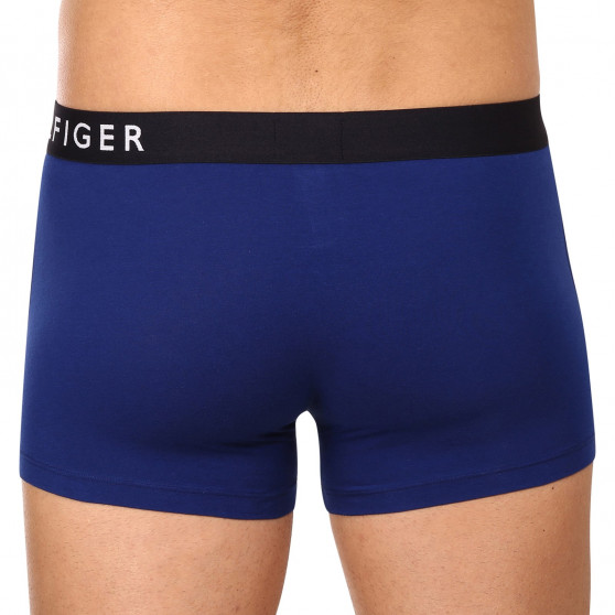 3PACK Boxershorts til mænd Tommy Hilfiger flerfarvet (UM0UM02202 0TW)