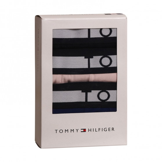 3PACK Boxershorts til mænd Tommy Hilfiger flerfarvet (UM0UM02202 0TW)