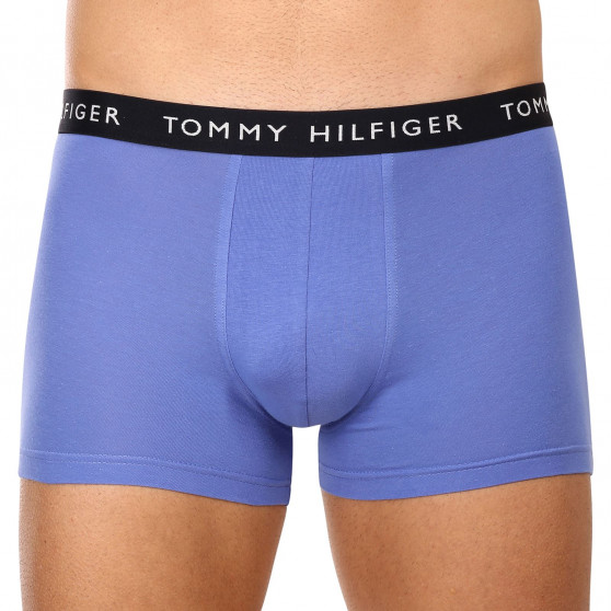 3PACK Boxershorts til mænd Tommy Hilfiger flerfarvet (UM0UM02203 0V1)