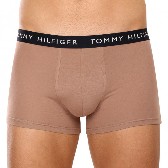 3PACK Boxershorts til mænd Tommy Hilfiger flerfarvet (UM0UM02203 0V1)