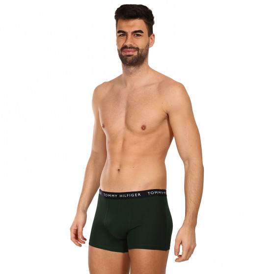 3PACK Boxershorts til mænd Tommy Hilfiger flerfarvet (UM0UM02203 0V1)