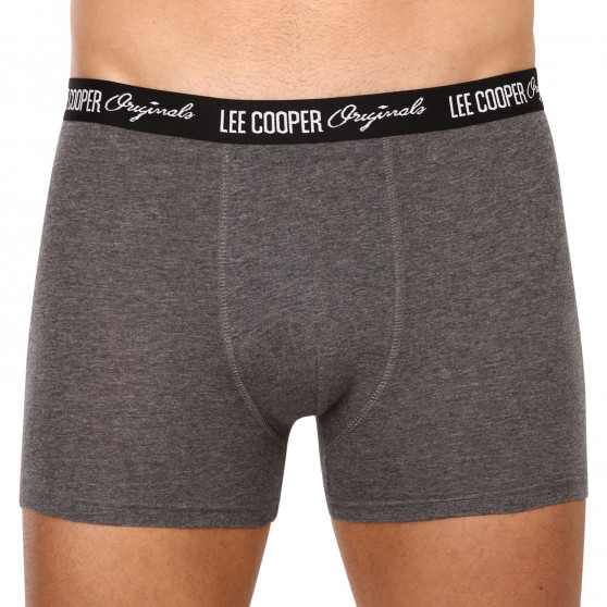 10PACK Boxershorts til mænd Lee Cooper flerfarvet (LCUBOX10P08-1951590)