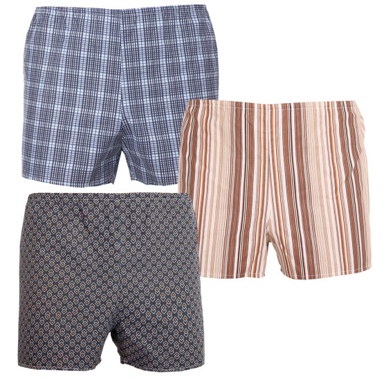 3PACK Boxershorts til mænd  flerfarvet Foltýn