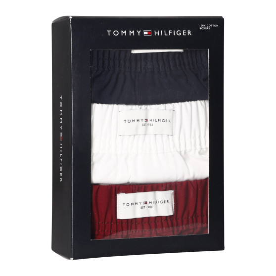 3PACK Boxershorts til mænd Tommy Hilfiger flerfarvet (UM0UM02848 0WE)