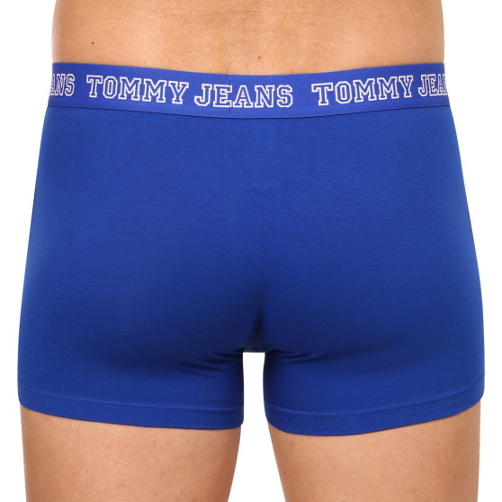 3PACK Boxershorts til mænd Tommy Hilfiger flerfarvet (UM0UM02850 0T8)